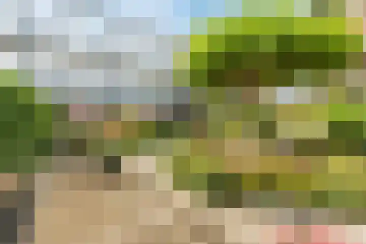 van Duivenvoordestraat 62 Heerhugowaard thumbnail 8