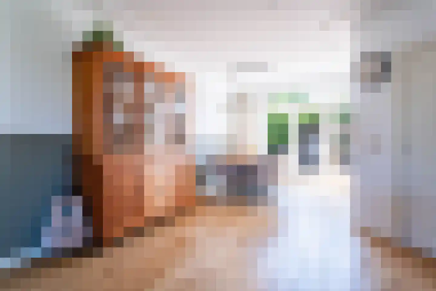 Van Duivenvoordestraat 98 Oosterhout thumbnail 10
