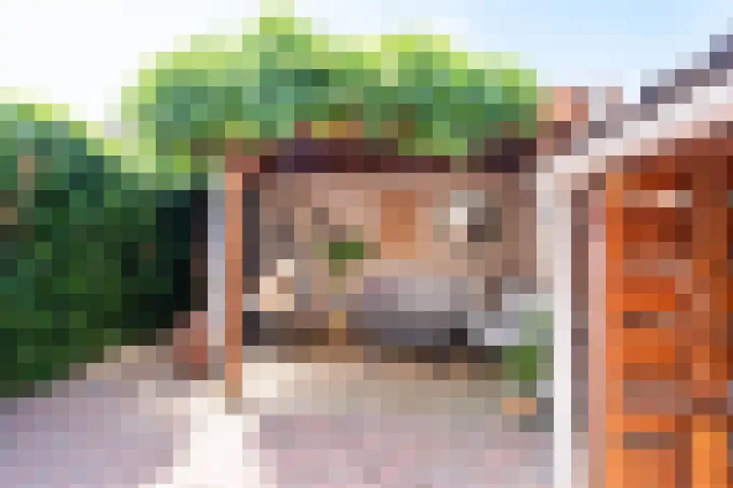 Van Duivenvoordestraat 98 Oosterhout thumbnail 28