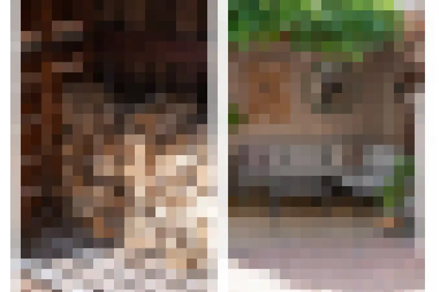 Van Duivenvoordestraat 98 Oosterhout thumbnail 31