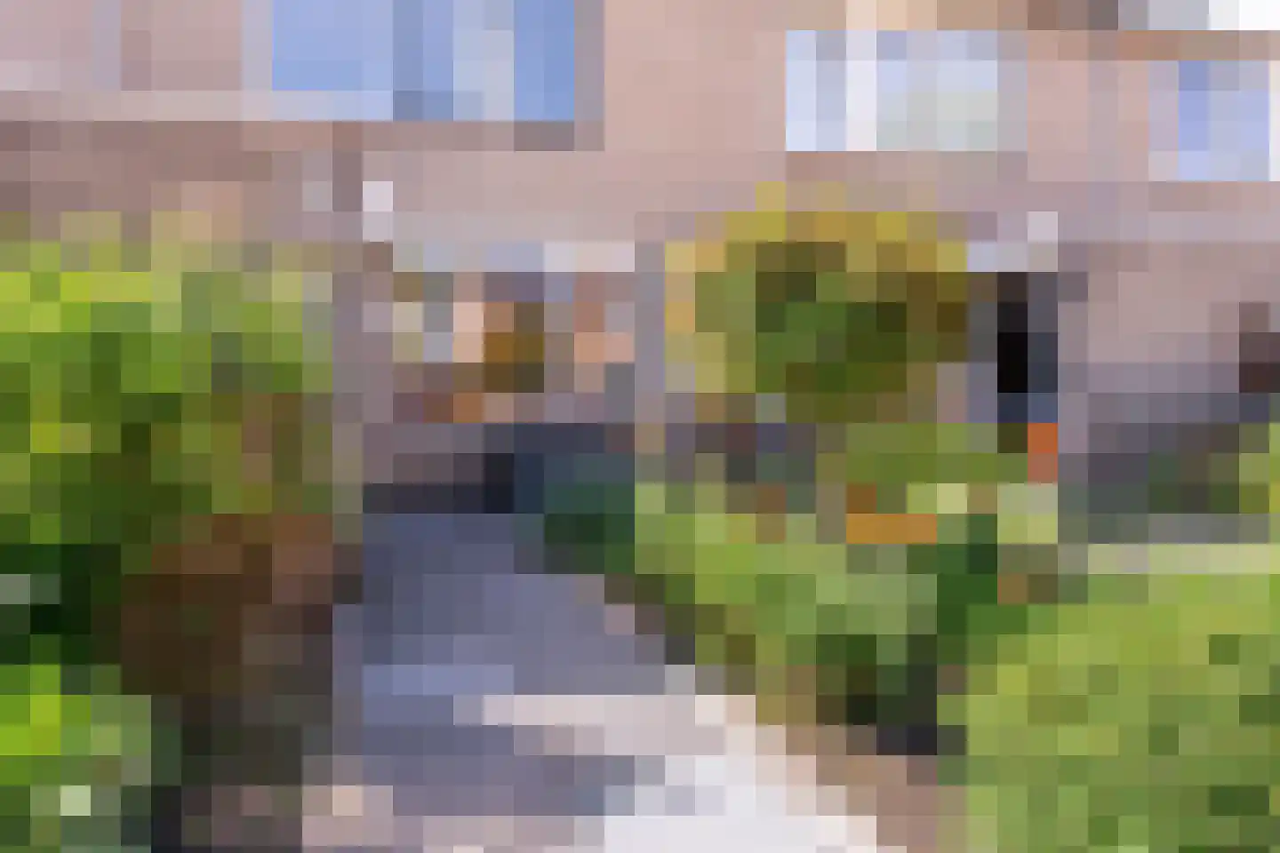 Van Duivenvoordestraat 98 Oosterhout thumbnail 5