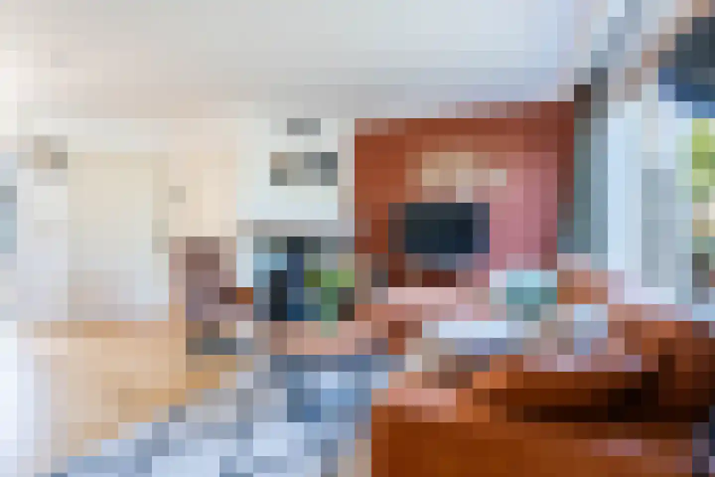 Van Duivenvoordestraat 98 Oosterhout thumbnail 9