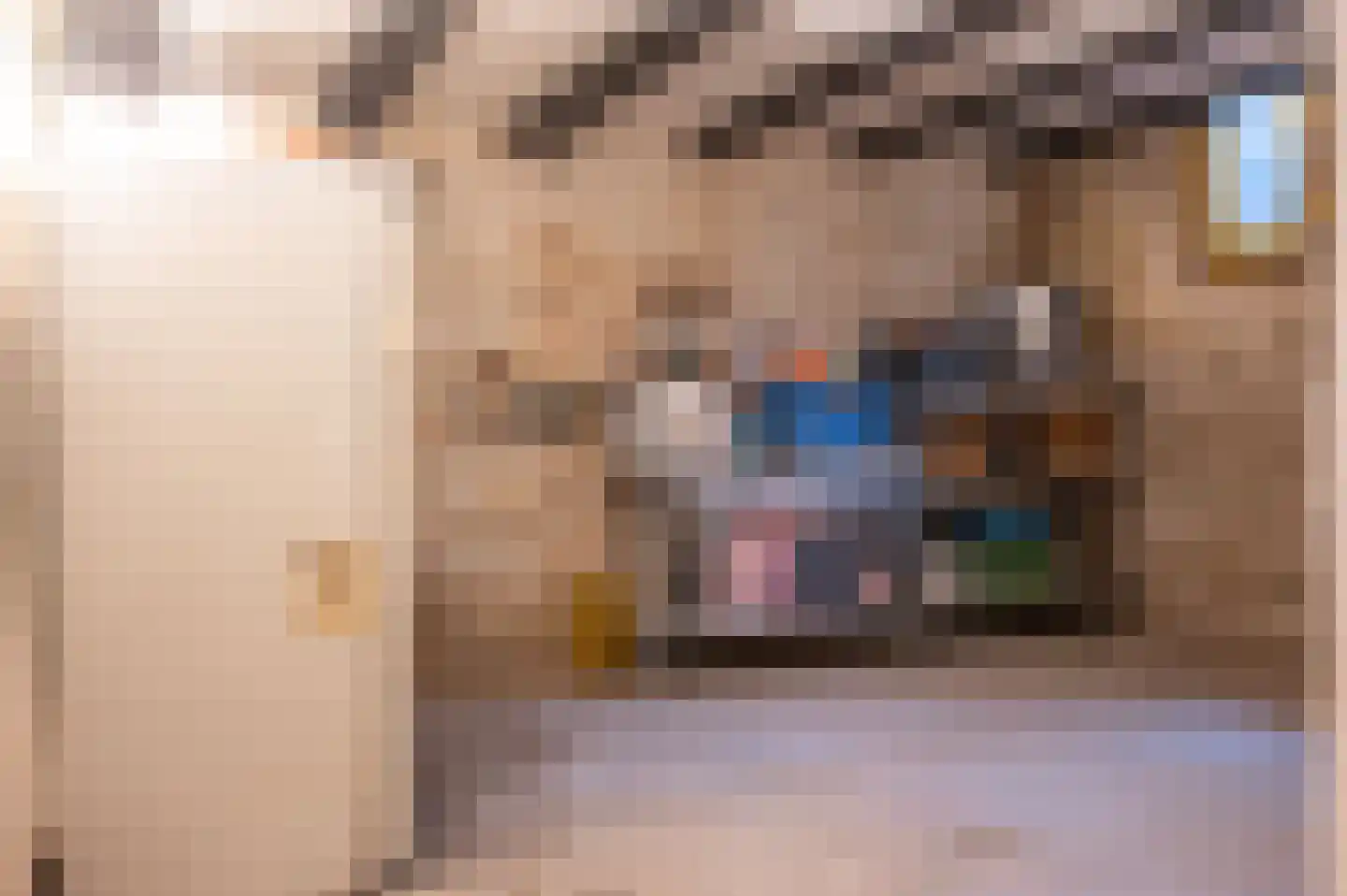 van Dulckenstraat 47 Nijmegen thumbnail 52