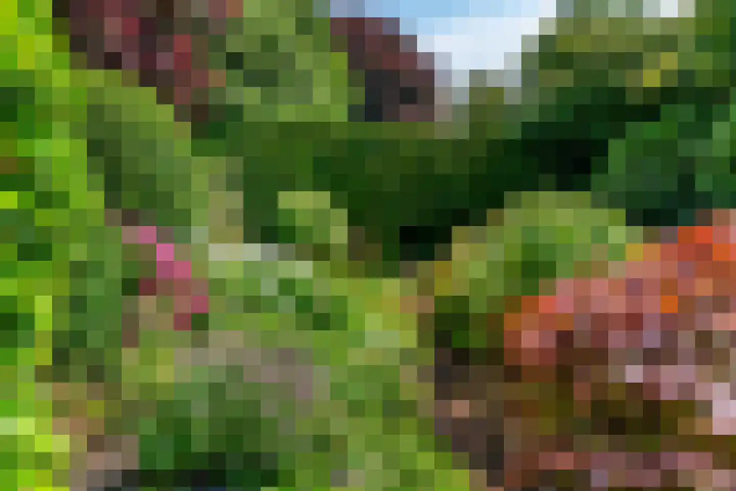 Van Dulmplein 1 Voorschoten thumbnail 38