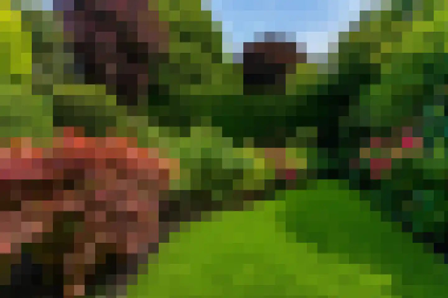 Van Dulmplein 1 Voorschoten thumbnail 9