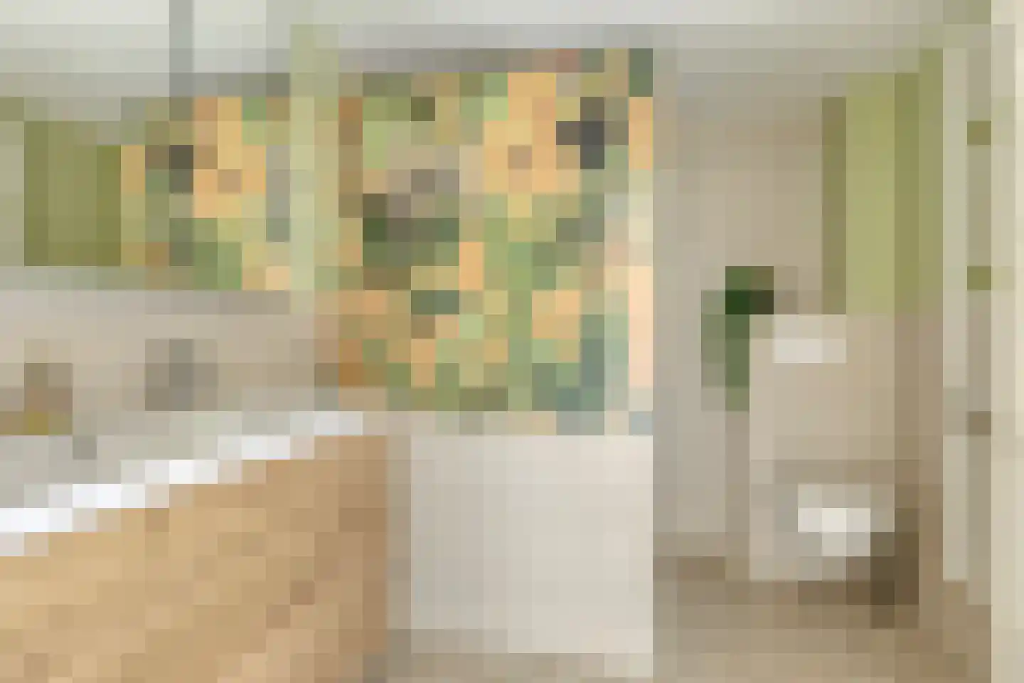 Van Dulmplein 8 Voorschoten thumbnail 32