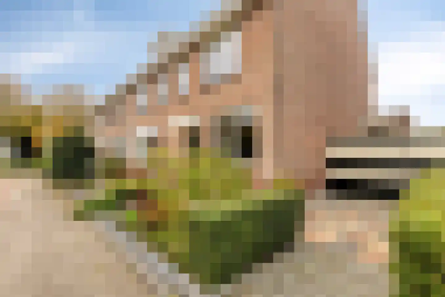 Van Dulmplein 8 Voorschoten thumbnail 4