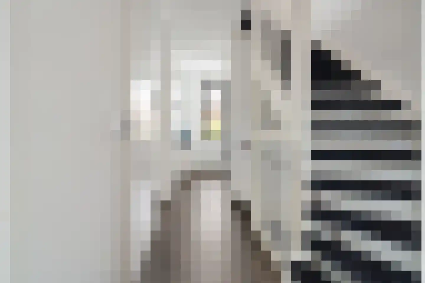van Durenstraat 3 Deventer thumbnail 25