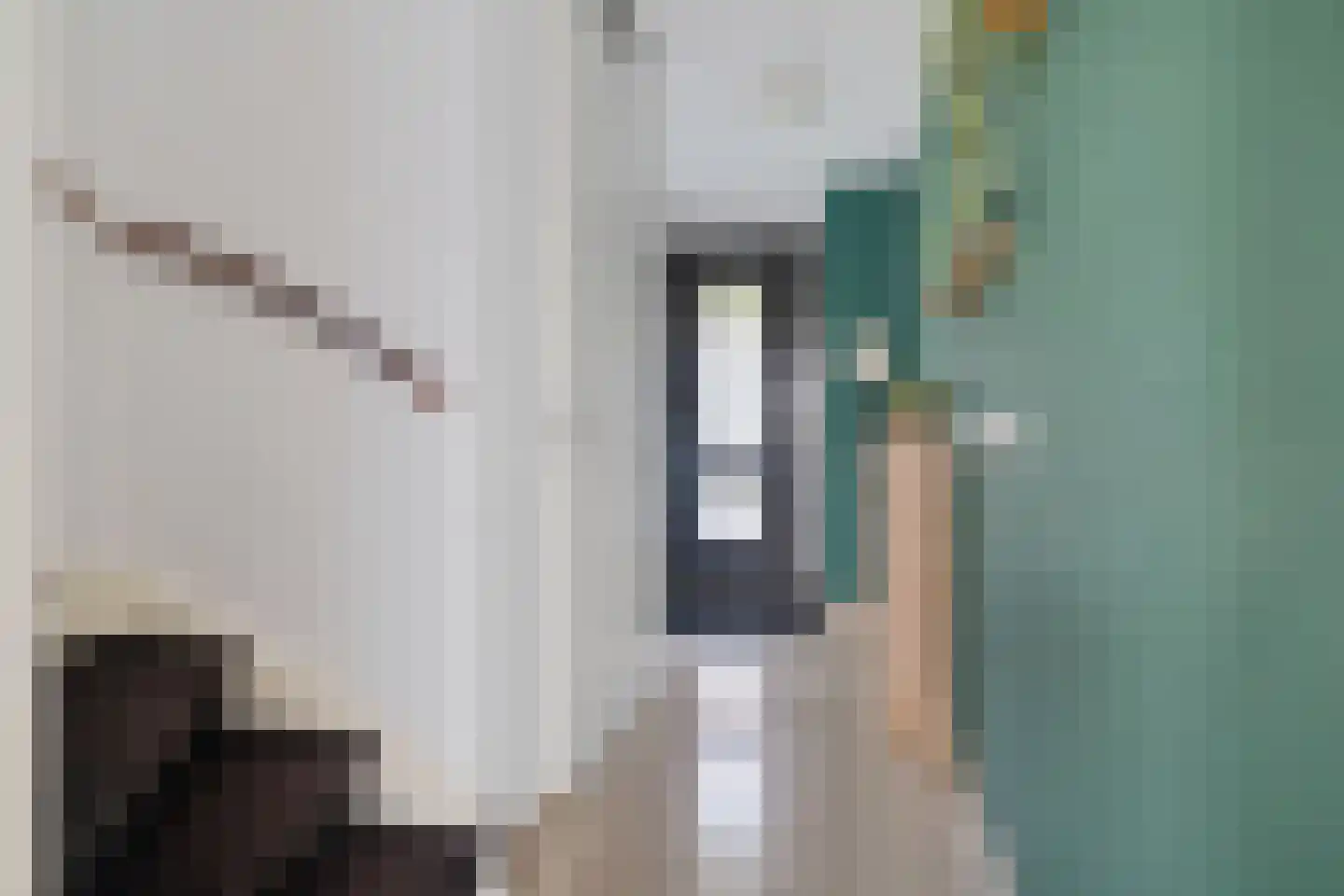 van Durenstraat 3 Deventer thumbnail 5