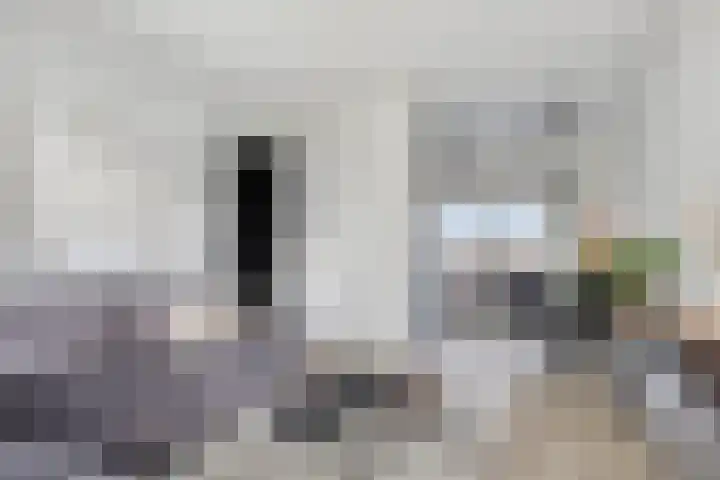 van Dusseldorpstraat 114 Goes thumbnail 10