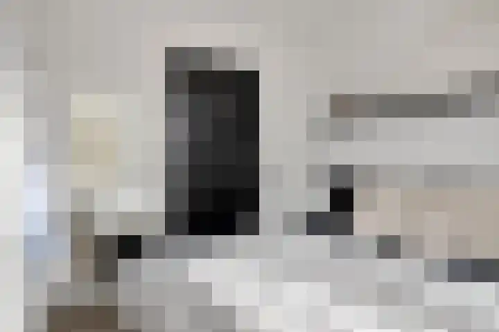 van Dusseldorpstraat 114 Goes thumbnail 23