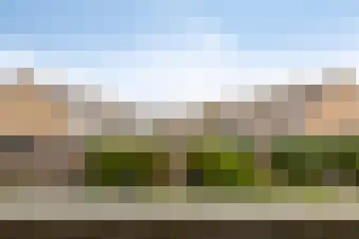 van Dusseldorpstraat 114 Goes thumbnail 30