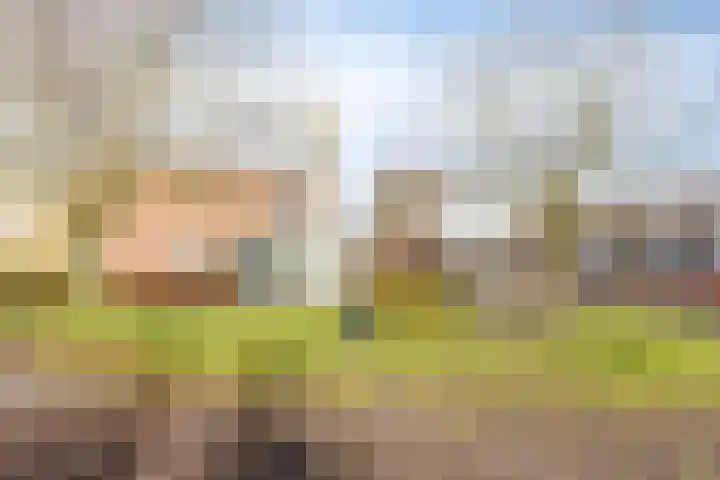 van Dusseldorpstraat 114 Goes thumbnail 37