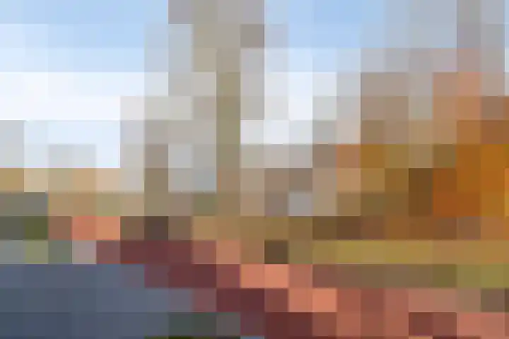 van Dusseldorpstraat 114 Goes thumbnail 38