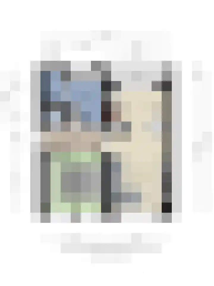 van Dusseldorpstraat 114 Goes thumbnail 42