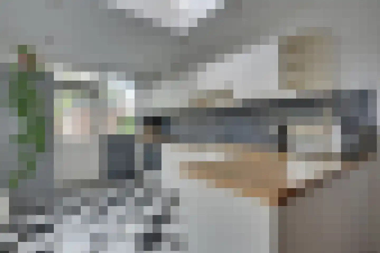 van Dussenlaan 12 Heerhugowaard thumbnail 15