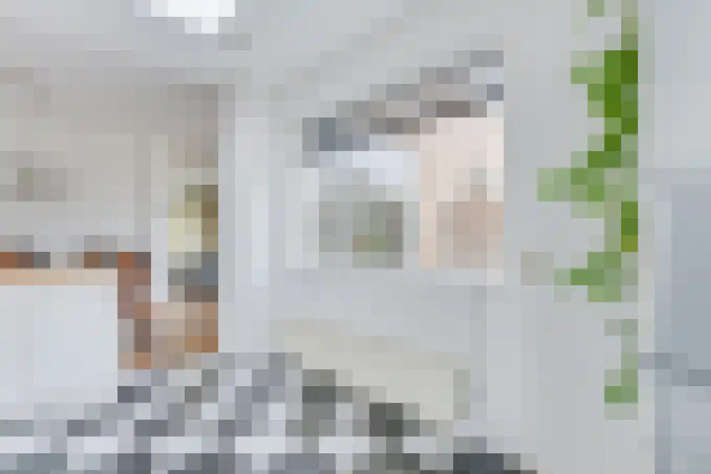 van Dussenlaan 12 Heerhugowaard thumbnail 19