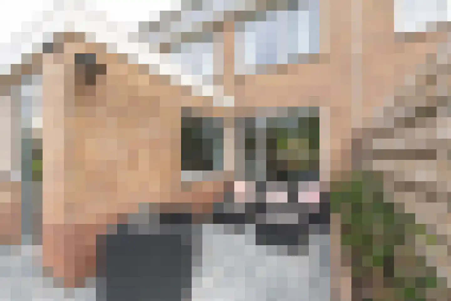 van Dussenlaan 12 Heerhugowaard thumbnail 45
