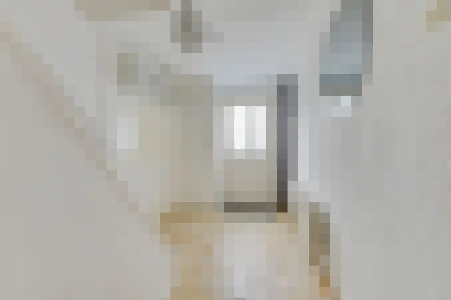 van Dussenlaan 12 Heerhugowaard thumbnail 8