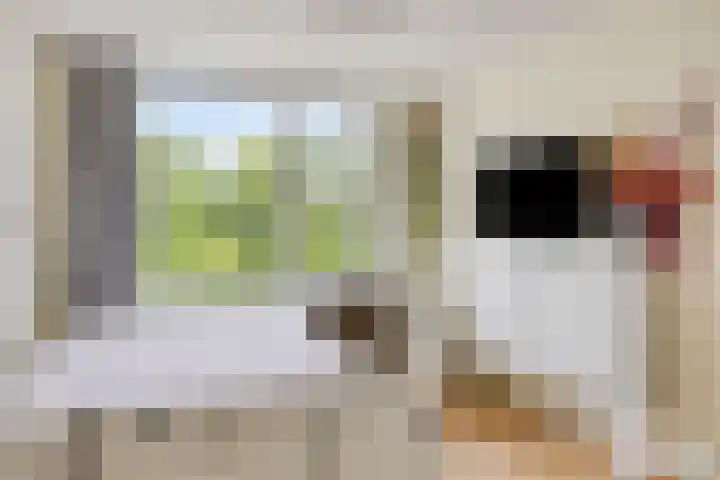 van Dussenlaan 18 Heerhugowaard thumbnail 27