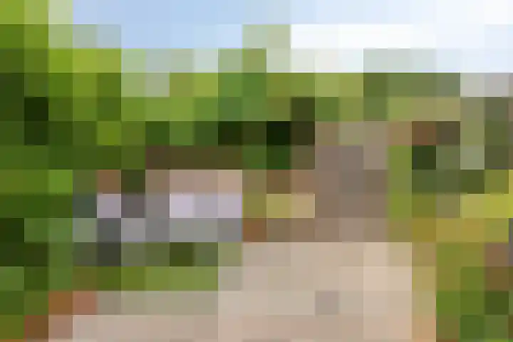 van Dussenlaan 18 Heerhugowaard thumbnail 39