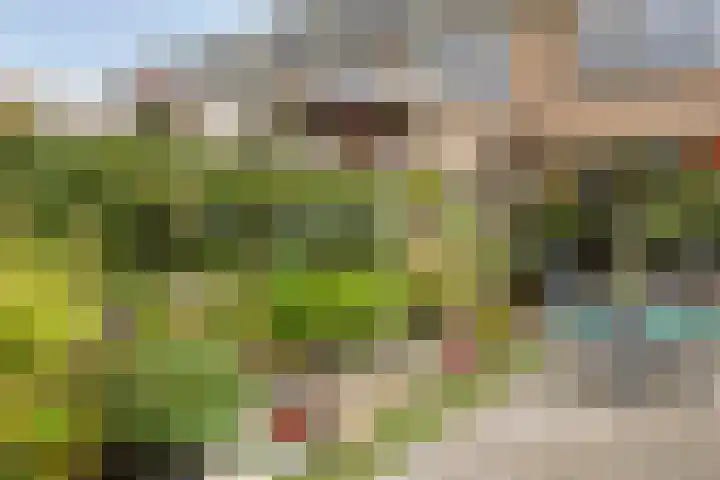van Dussenlaan 18 Heerhugowaard thumbnail 40