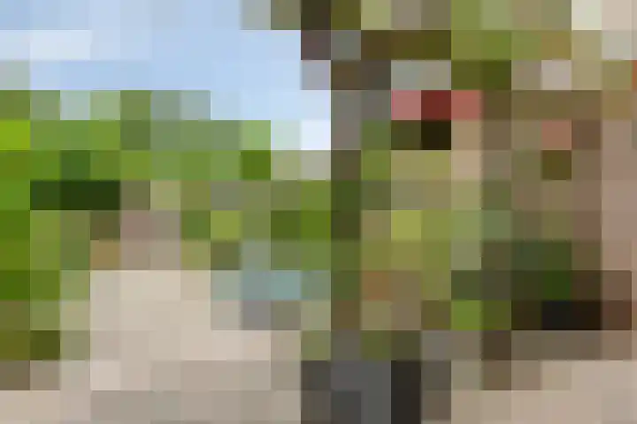 van Dussenlaan 18 Heerhugowaard thumbnail 44
