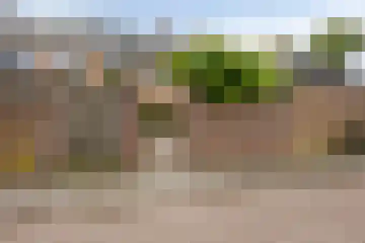 van Dussenlaan 18 Heerhugowaard thumbnail 45