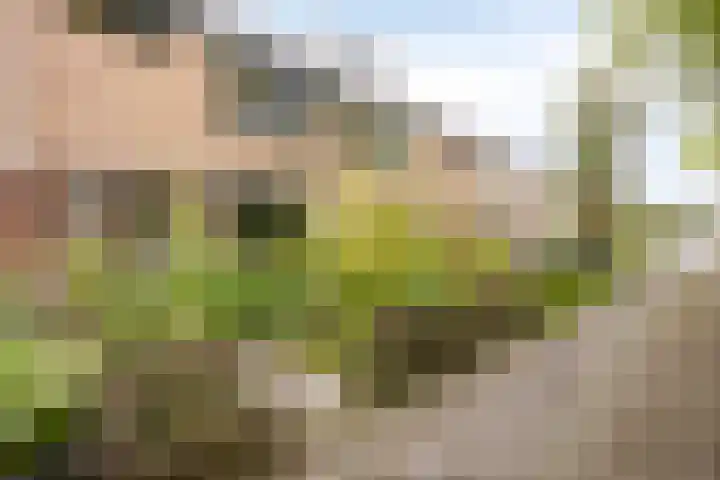 van Dussenlaan 18 Heerhugowaard thumbnail 49