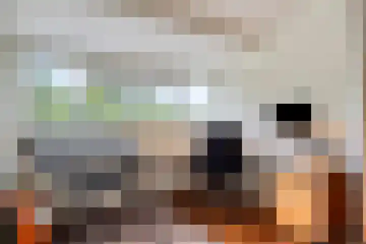 van Dussenlaan 18 Heerhugowaard thumbnail 5
