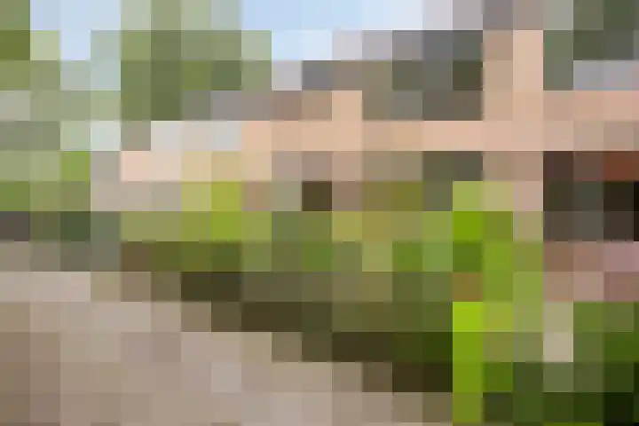 van Dussenlaan 18 Heerhugowaard thumbnail 8