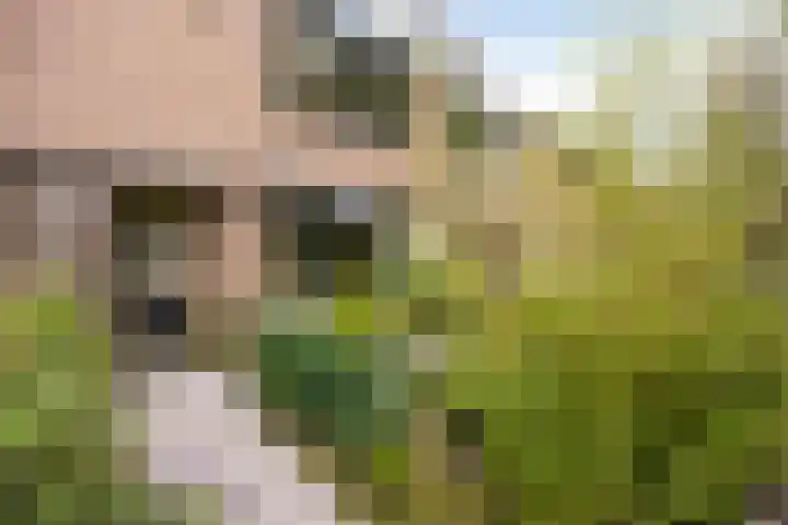 van Dussenlaan 18 Heerhugowaard thumbnail 9