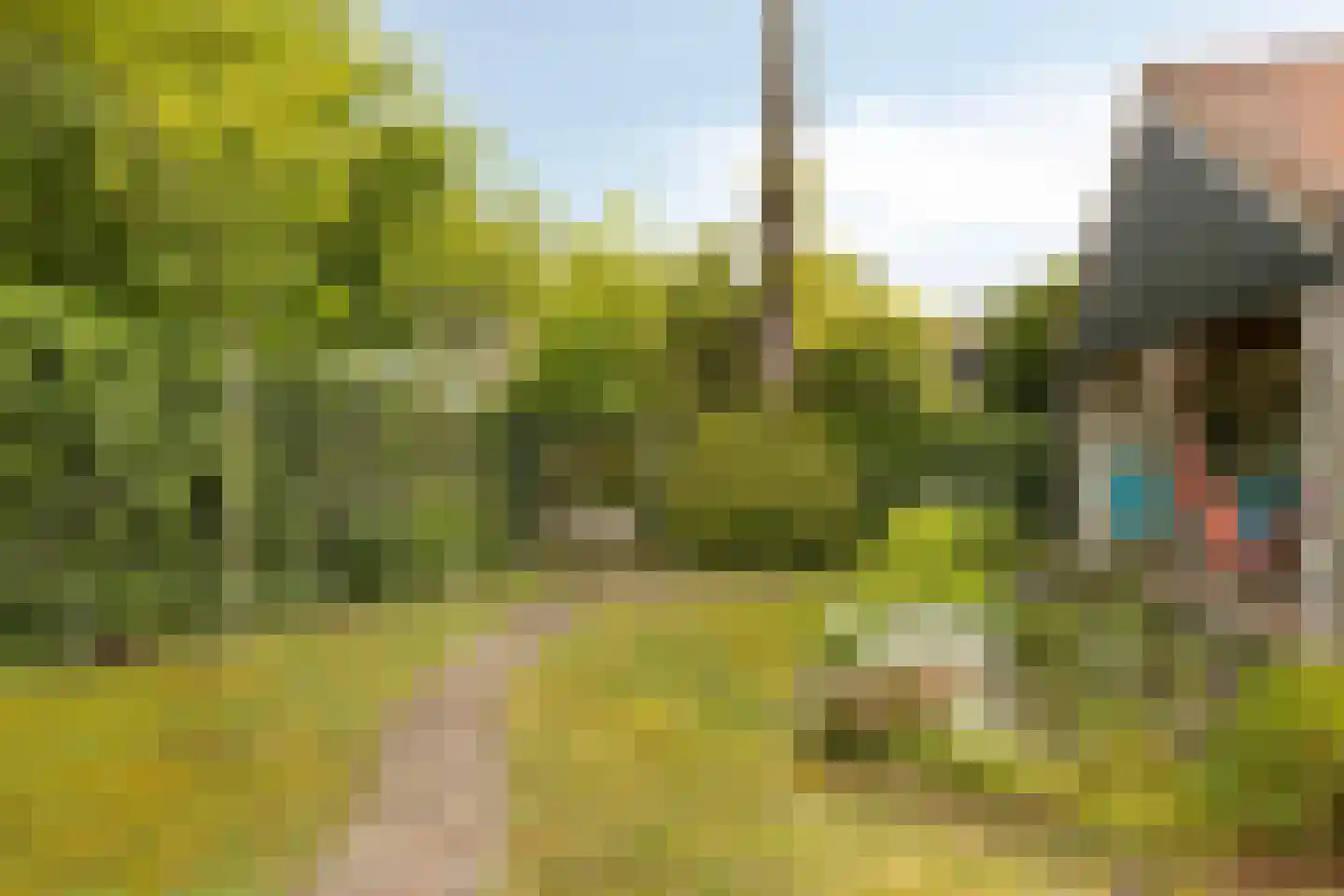 Van Duurenlaan 16 Castricum thumbnail 18