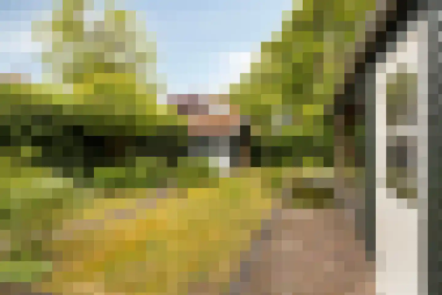 Van Duurenlaan 16 Castricum thumbnail 21