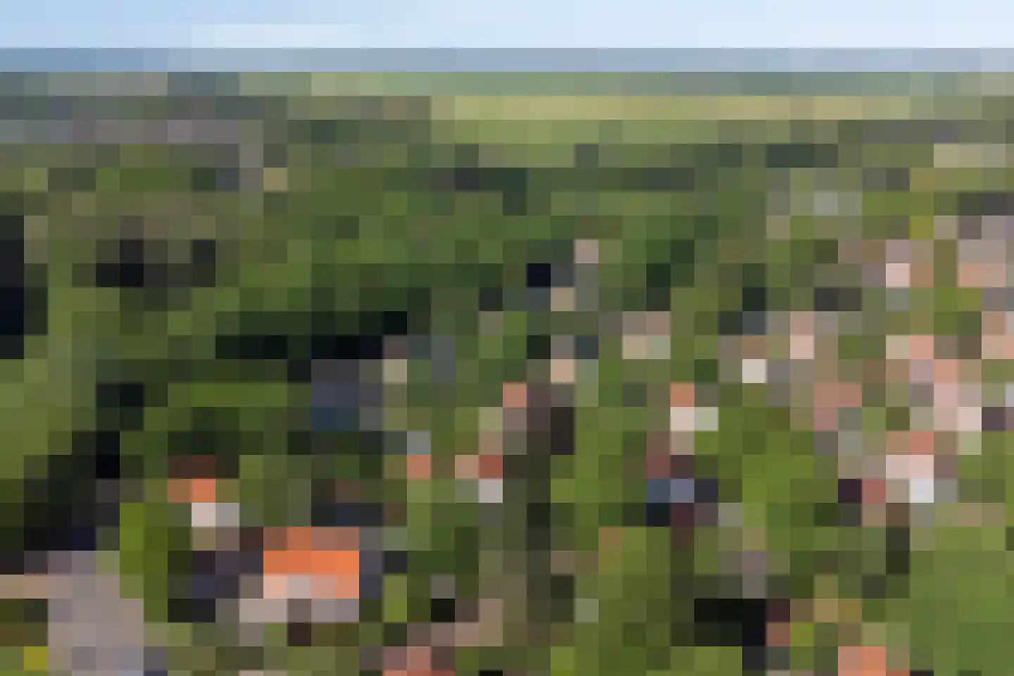 Van Duurenlaan 16 Castricum thumbnail 37