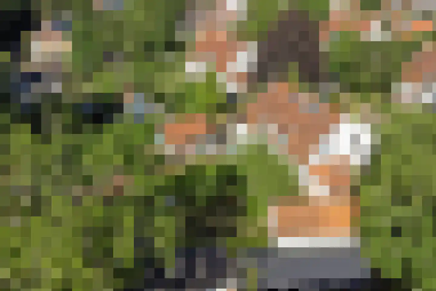 Van Duurenlaan 16 Castricum thumbnail 38