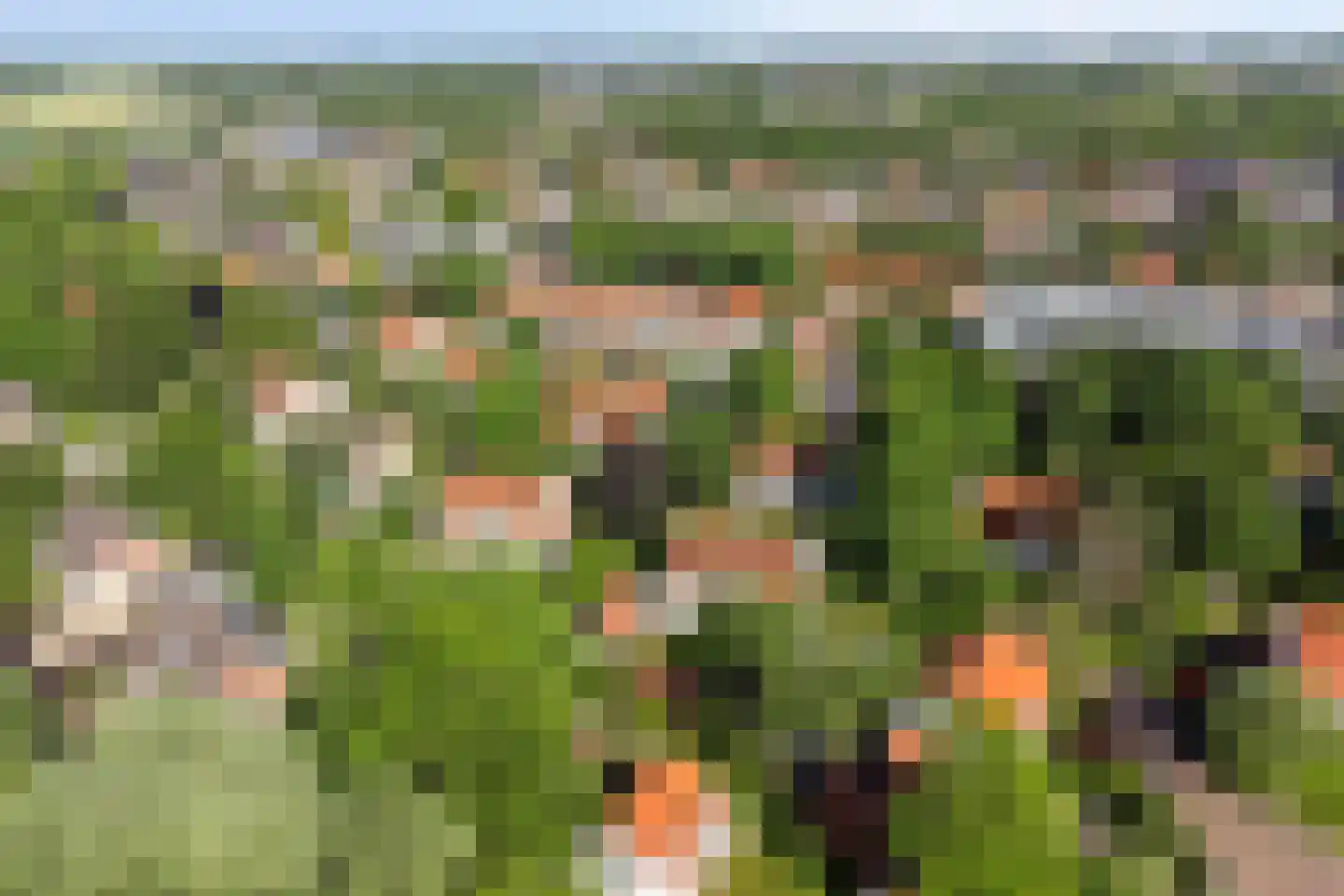 Van Duurenlaan 16 Castricum thumbnail 39