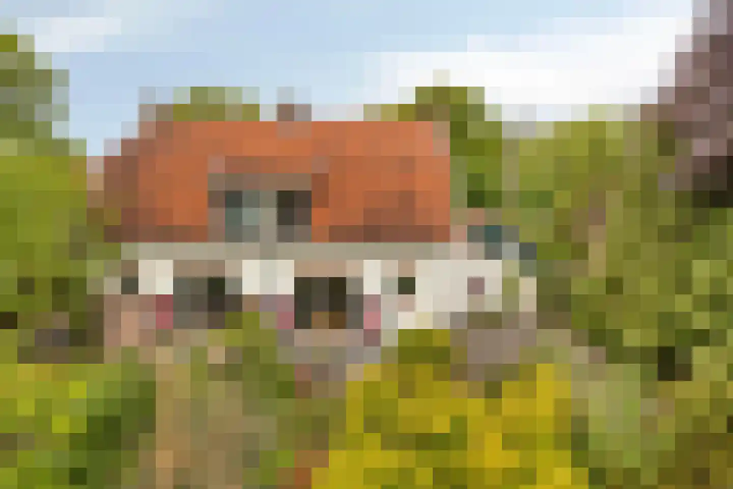 Van Duurenlaan 16 Castricum thumbnail 44