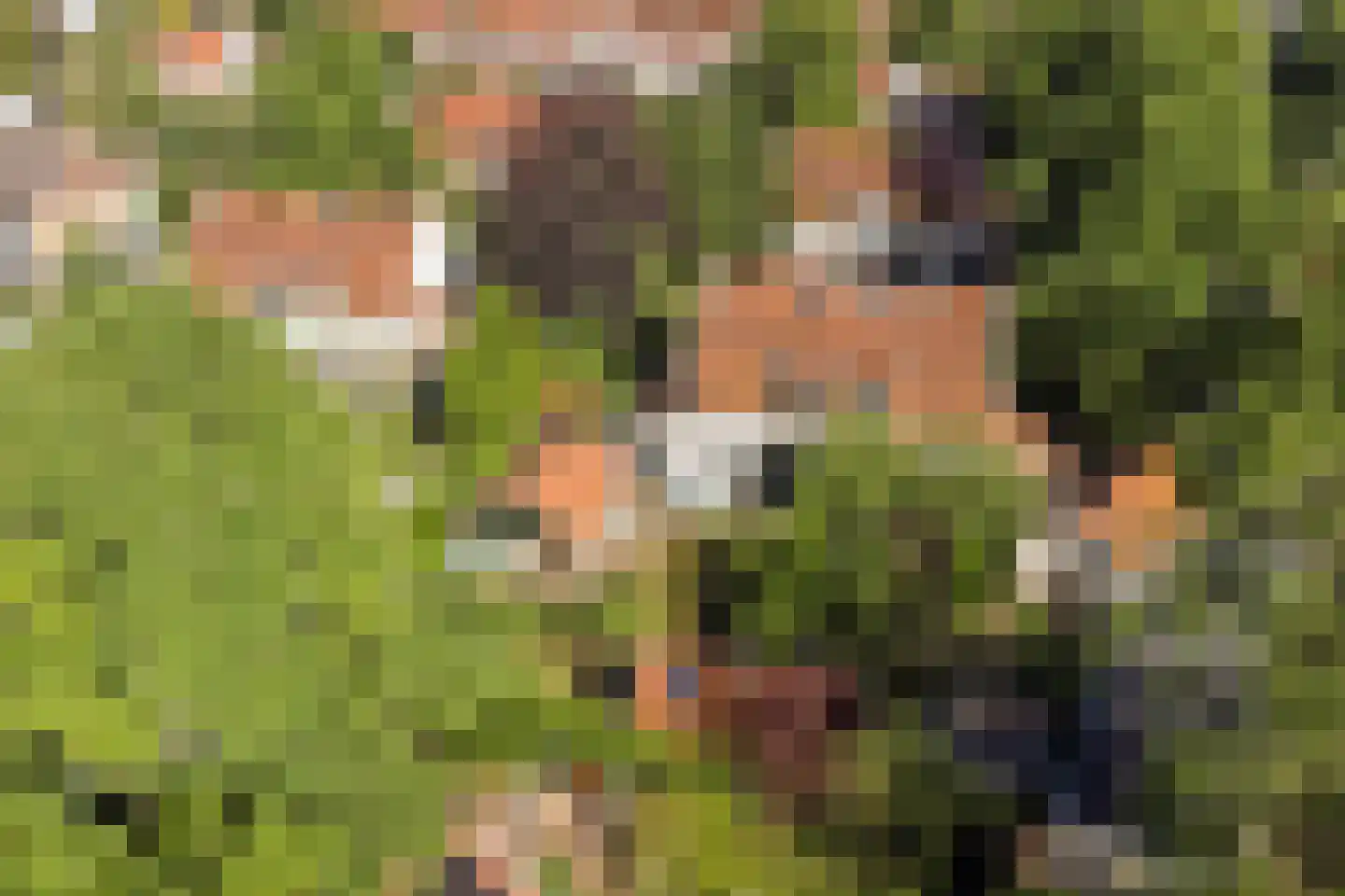 Van Duurenlaan 16 Castricum thumbnail 47