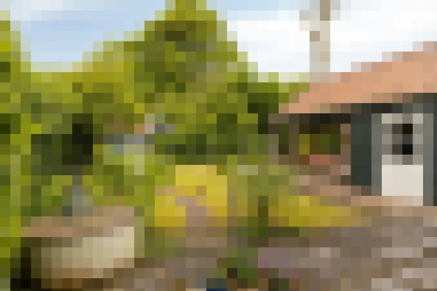 Van Duurenlaan 16 Castricum thumbnail 5