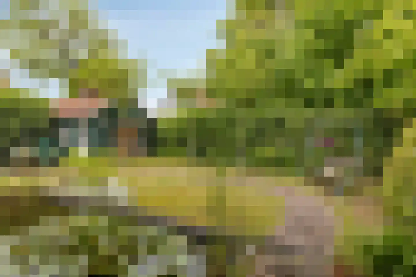 Van Duurenlaan 16 Castricum thumbnail 6