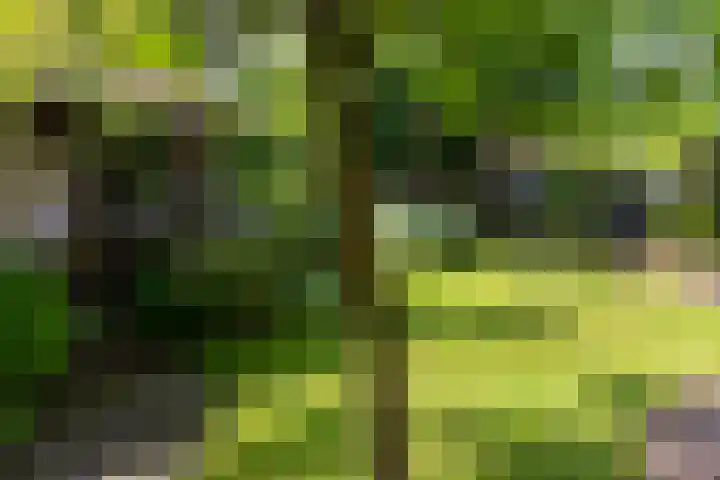 Van Duurenlaan 3 Castricum thumbnail 10