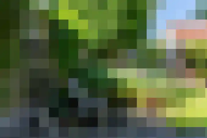 Van Duurenlaan 3 Castricum thumbnail 11