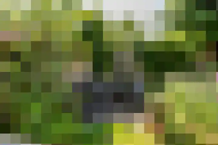 Van Duurenlaan 3 Castricum thumbnail 12