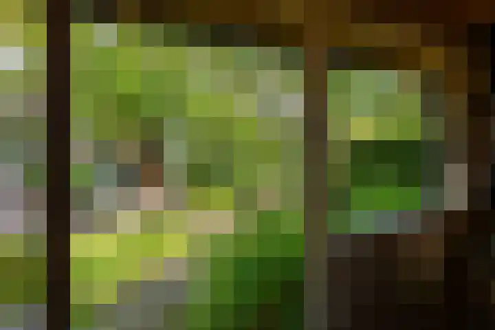 Van Duurenlaan 3 Castricum thumbnail 13