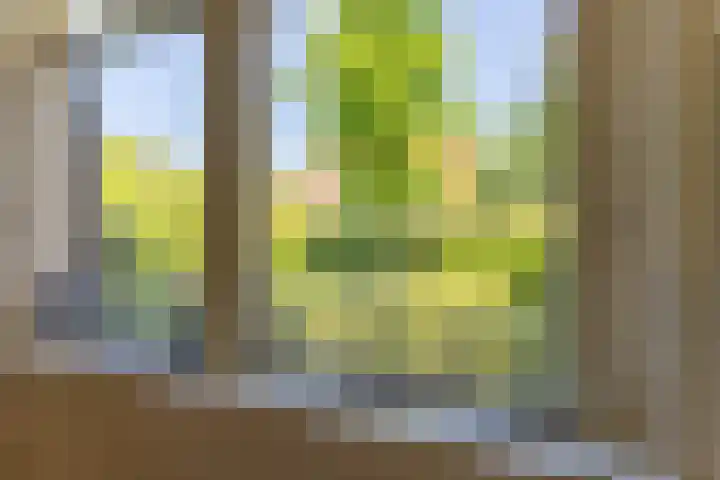 Van Duurenlaan 3 Castricum thumbnail 20