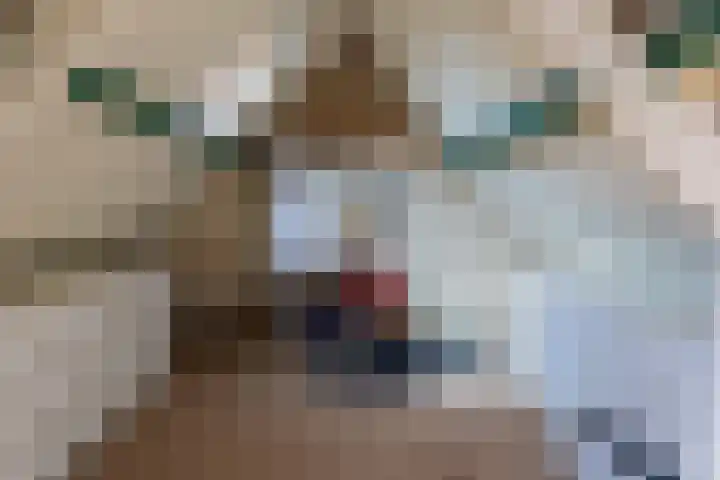 Van Duurenlaan 3 Castricum thumbnail 37