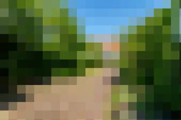Van Duurenlaan 3 Castricum thumbnail 40