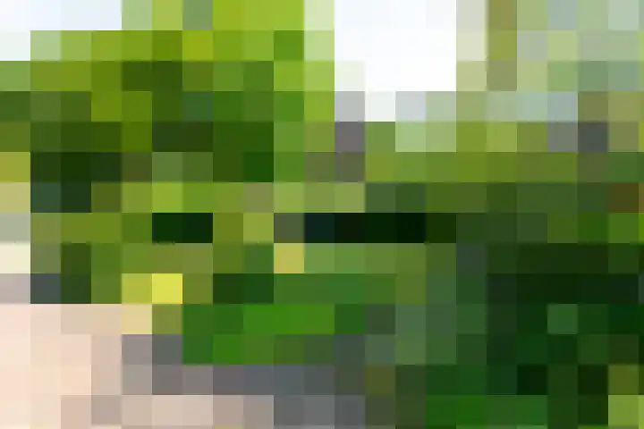 Van Duurenlaan 3 Castricum thumbnail 46