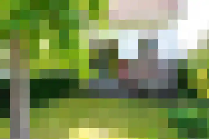 Van Duurenlaan 3 Castricum thumbnail 47